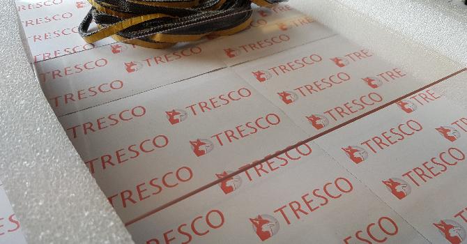 67991120 - Vitre - Delphine 2